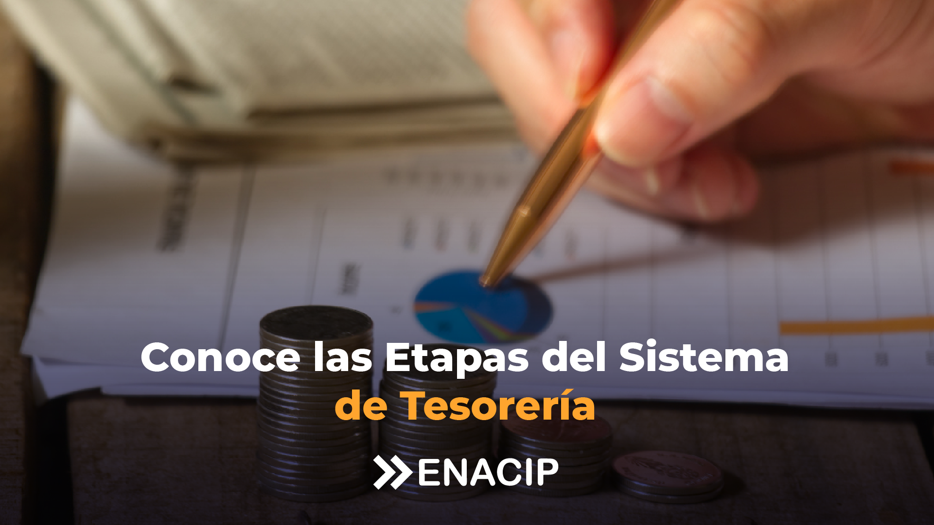 Conoce las Etapas del Sistema de Tesorería
